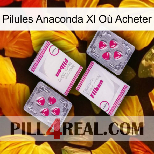 Pilules Anaconda Xl Où Acheter 33